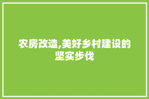 农房改造,美好乡村建设的坚实步伐 装修材料