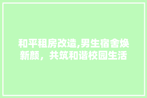 和平租房改造,男生宿舍焕新颜，共筑和谐校园生活 庭院装修