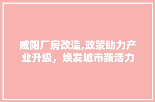 咸阳厂房改造,政策助力产业升级，焕发城市新活力 墙面装饰