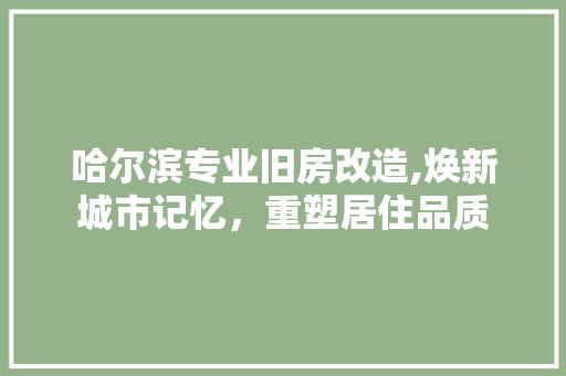 哈尔滨专业旧房改造,焕新城市记忆，重塑居住品质 墙面装饰