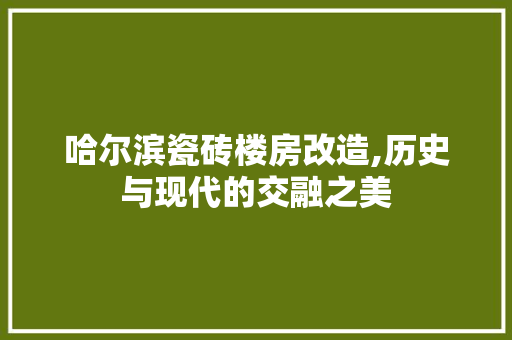 哈尔滨瓷砖楼房改造,历史与现代的交融之美