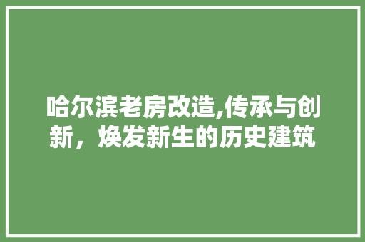 哈尔滨老房改造,传承与创新，焕发新生的历史建筑 门窗装修