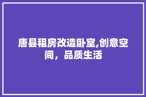 唐县租房改造卧室,创意空间，品质生活