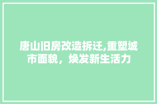 唐山旧房改造拆迁,重塑城市面貌，焕发新生活力
