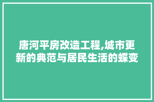 唐河平房改造工程,城市更新的典范与居民生活的蝶变