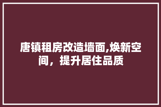 唐镇租房改造墙面,焕新空间，提升居住品质 装修攻略