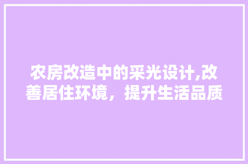 农房改造中的采光设计,改善居住环境，提升生活品质 墙面装饰