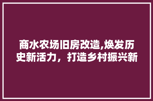 商水农场旧房改造,焕发历史新活力，打造乡村振兴新样板