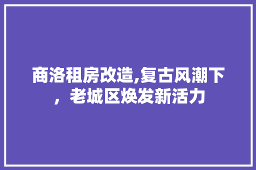 商洛租房改造,复古风潮下，老城区焕发新活力