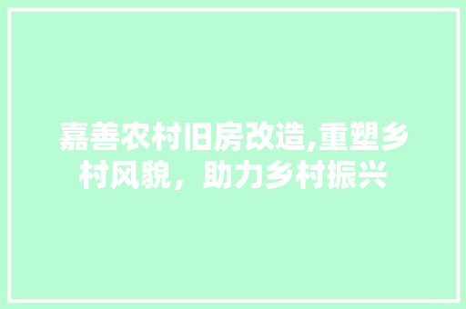 嘉善农村旧房改造,重塑乡村风貌，助力乡村振兴