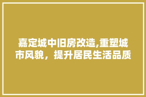 嘉定城中旧房改造,重塑城市风貌，提升居民生活品质 装修攻略