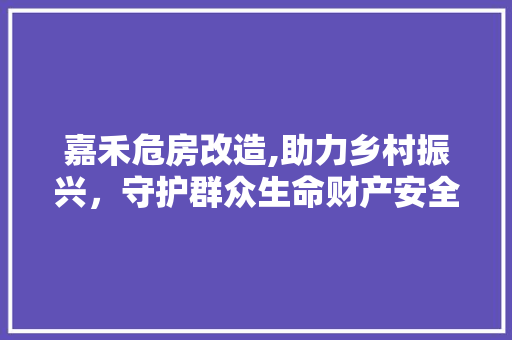 嘉禾危房改造,助力乡村振兴,守护群众生命财产安全 装修材料 嘉禾危房改造,助力乡村振兴,守护群众生命财产安全 装修材料