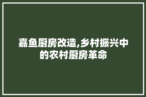 嘉鱼厨房改造,乡村振兴中的农村厨房革命 地面装修