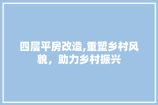 四层平房改造,重塑乡村风貌，助力乡村振兴
