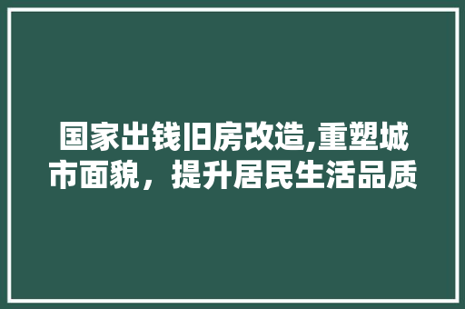 国家出钱旧房改造,重塑城市面貌，提升居民生活品质 装修攻略
