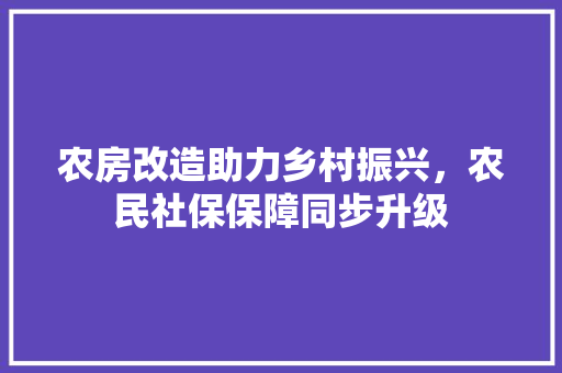 农房改造助力乡村振兴，农民社保保障同步升级 庭院装修