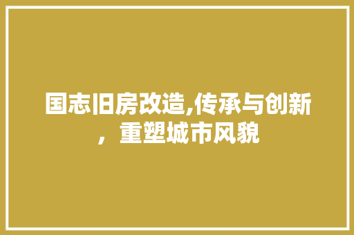 国志旧房改造,传承与创新，重塑城市风貌 景观设计