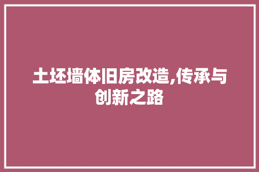 土坯墙体旧房改造,传承与创新之路