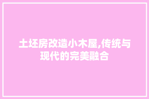土坯房改造小木屋,传统与现代的完美融合 景观设计