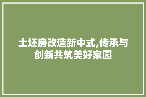 土坯房改造新中式,传承与创新共筑美好家园
