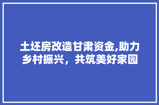 土坯房改造甘肃资金,助力乡村振兴，共筑美好家园