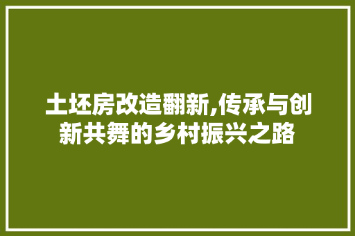土坯房改造翻新,传承与创新共舞的乡村振兴之路