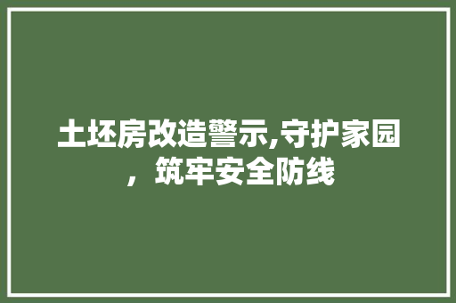 土坯房改造警示,守护家园，筑牢安全防线 墙面装饰