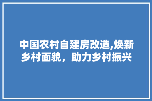 中国农村自建房改造,焕新乡村面貌，助力乡村振兴