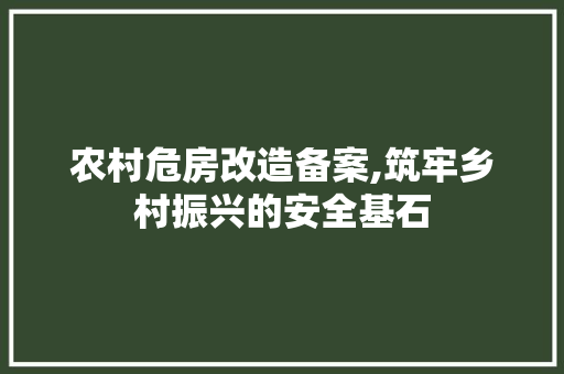 农村危房改造备案,筑牢乡村振兴的安全基石 隔断设计