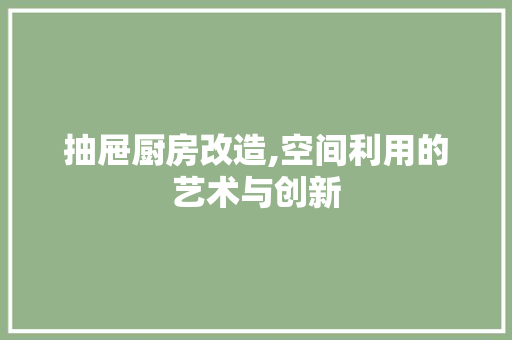 抽屉厨房改造,空间利用的艺术与创新