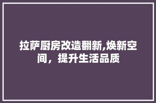 拉萨厨房改造翻新,焕新空间，提升生活品质