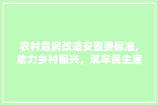 农村危房改造安置费标准,助力乡村振兴，筑牢民生底线