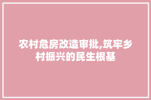 农村危房改造审批,筑牢乡村振兴的民生根基