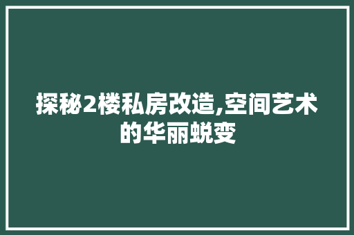 探秘2楼私房改造,空间艺术的华丽蜕变 建筑设计