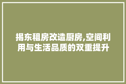 揭东租房改造厨房,空间利用与生活品质的双重提升 装修材料