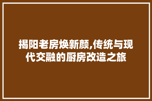 揭阳老房焕新颜,传统与现代交融的厨房改造之旅 装修材料