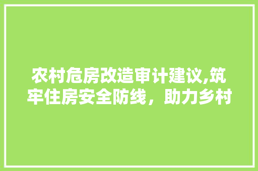 农村危房改造审计建议,筑牢住房安全防线，助力乡村振兴