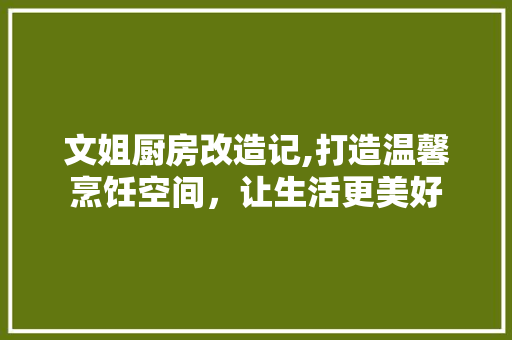 文姐厨房改造记,打造温馨烹饪空间，让生活更美好 装修材料