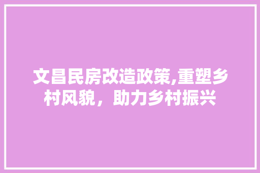 文昌民房改造政策,重塑乡村风貌，助力乡村振兴 装修攻略
