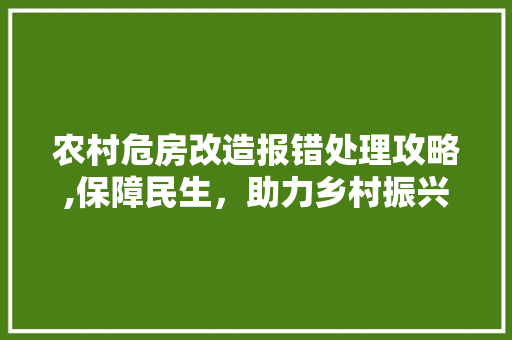 农村危房改造报错处理攻略,保障民生，助力乡村振兴