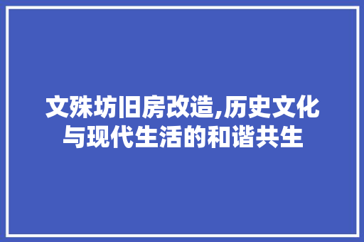 文殊坊旧房改造,历史文化与现代生活的和谐共生 地面装修