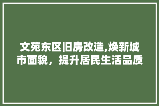 文苑东区旧房改造,焕新城市面貌，提升居民生活品质 景观设计
