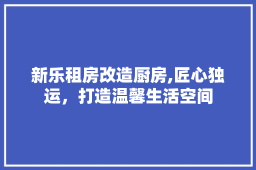 新乐租房改造厨房,匠心独运，打造温馨生活空间