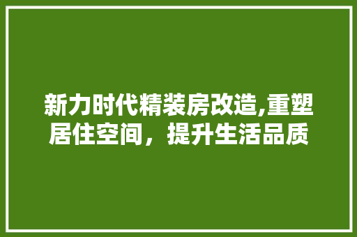 新力时代精装房改造,重塑居住空间，提升生活品质 墙面装饰