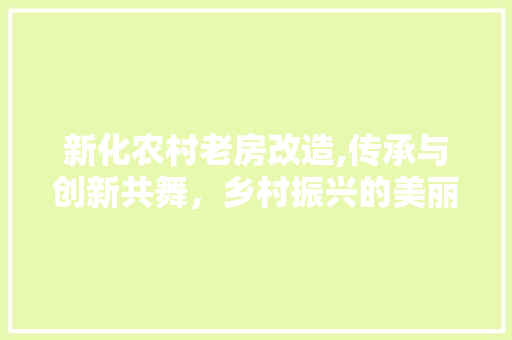 新化农村老房改造,传承与创新共舞，乡村振兴的美丽画卷 建筑设计