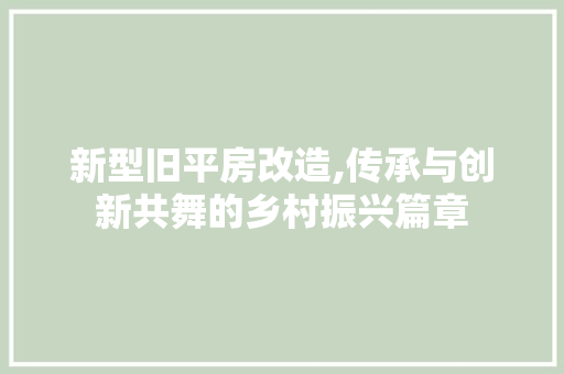 新型旧平房改造,传承与创新共舞的乡村振兴篇章 装修攻略
