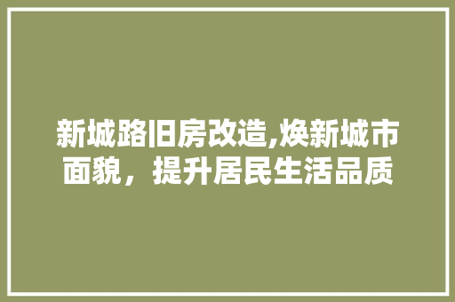 新城路旧房改造,焕新城市面貌，提升居民生活品质