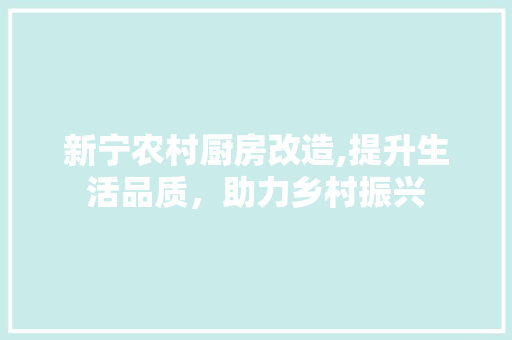 新宁农村厨房改造,提升生活品质，助力乡村振兴 装修材料