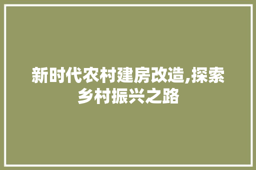 新时代农村建房改造,探索乡村振兴之路