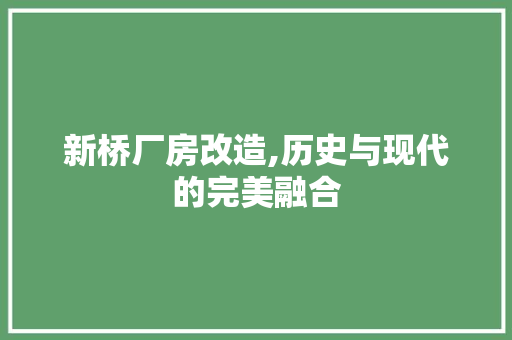 新桥厂房改造,历史与现代的完美融合 建筑设计